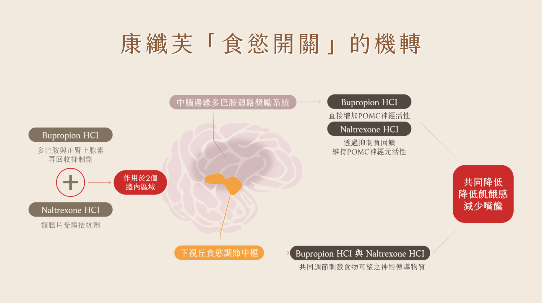 康纖芙,Contrave,食慾開關的機轉,賦真妍,口服減肥,減重